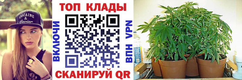 A PVP Малаховка