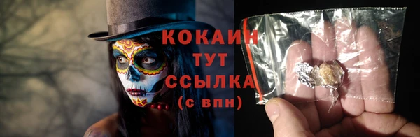 соль курить ск Дмитровск