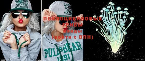 соль курить ск Дмитровск